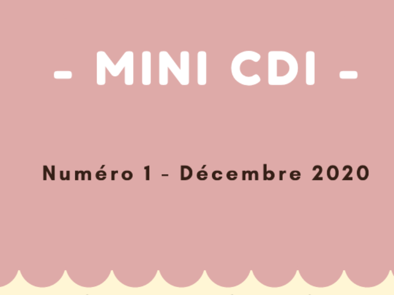 Mini CDI – Décembre 2020