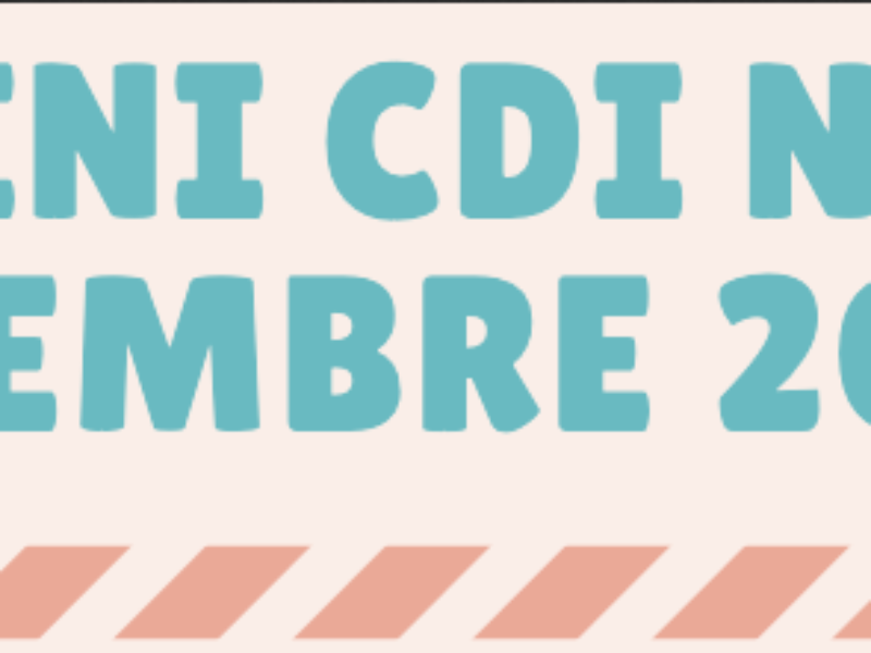Mini CDI N°2 – Décembre 2020