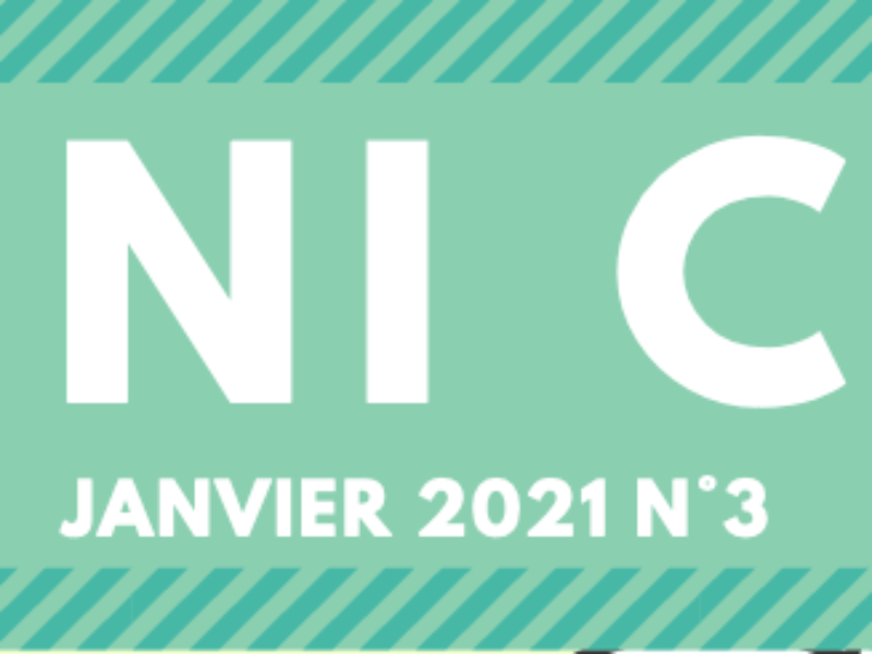 Mini CDI n°3 – Janvier 2021